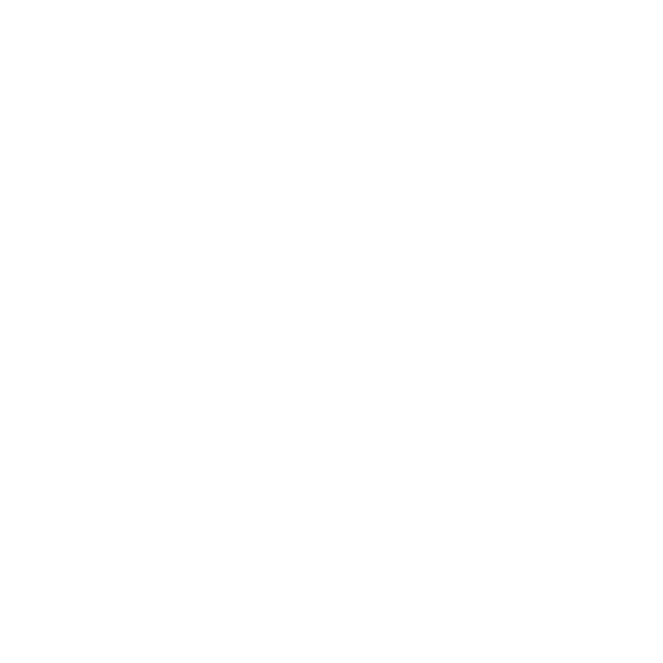 Logo INSTAPRO blanco